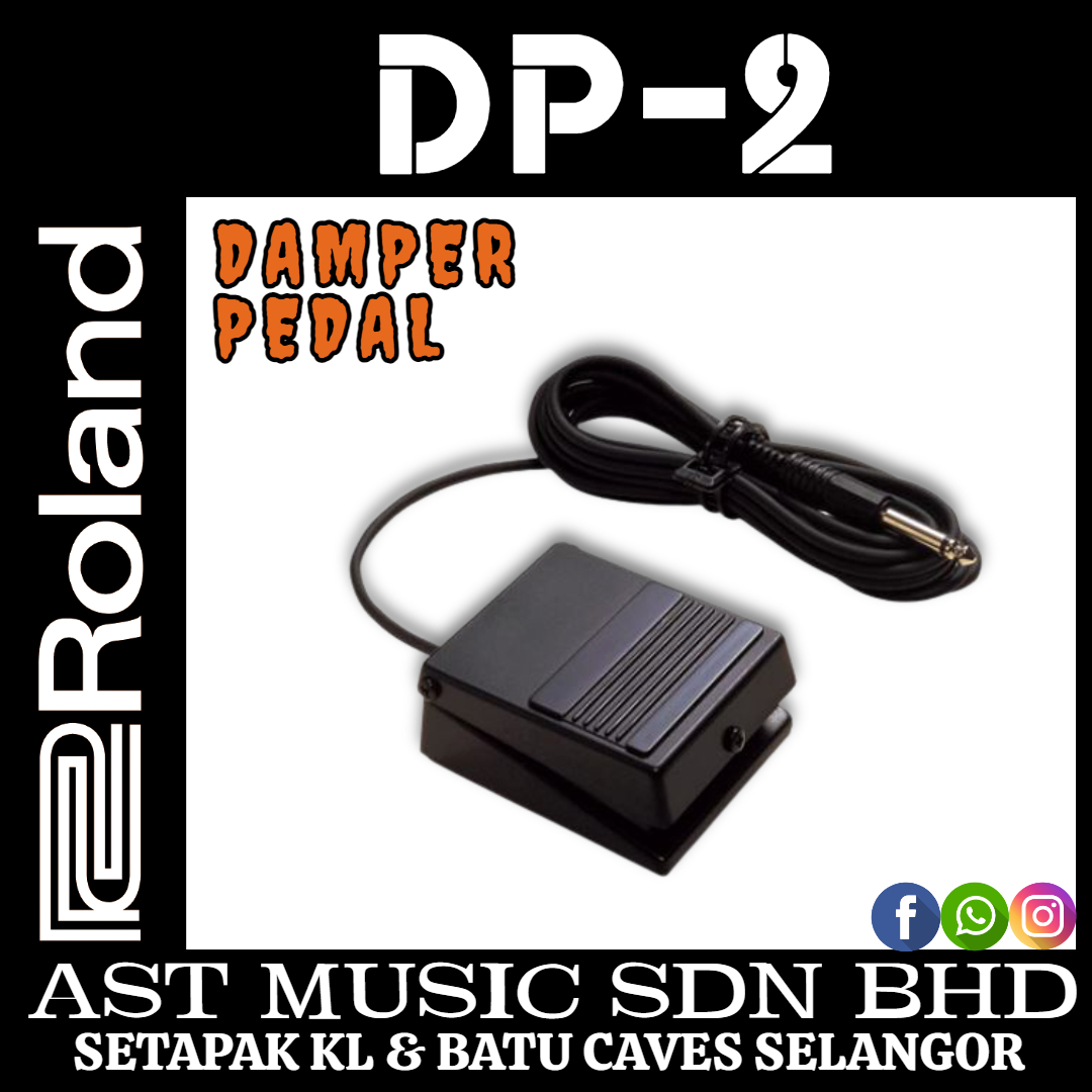 Roland DP2 Sustain Pedal - SSE Music