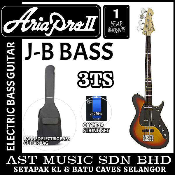 ARIA PRO 2 J-B 3TS