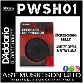 D’ADDARIO PW-SH-01 SCREECHING HALT SOUNDHOLE PLUG