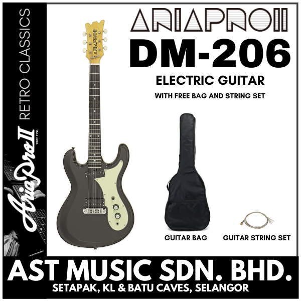 Aria Pro ii DM-206 Electric Guitar / DM206 with bag and set strings - Black