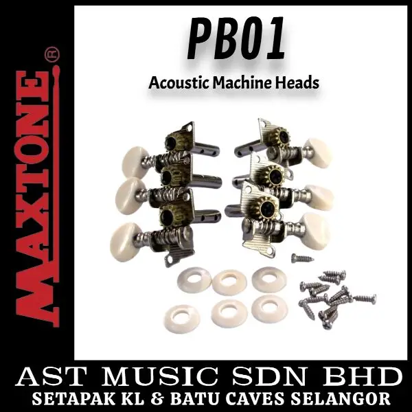 PB01 Maxtone Acoustic Machine Head