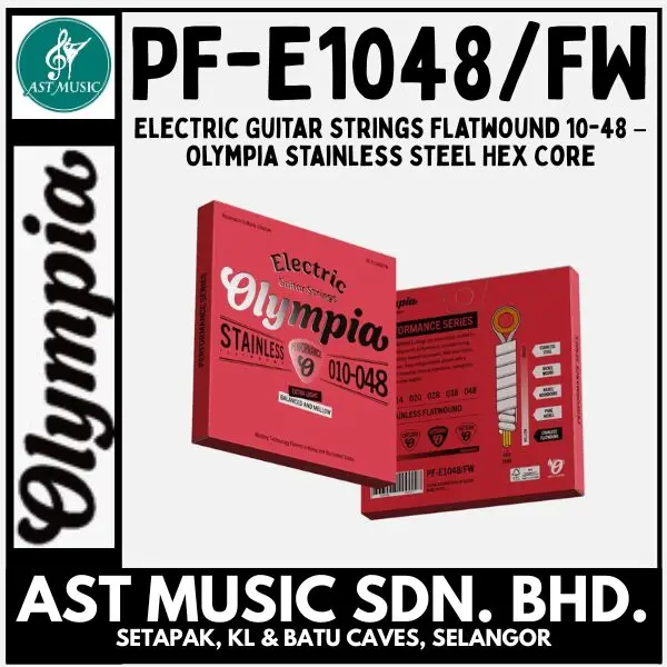 Olympia PF-E1048/FW Stainless Steel Hex Core Electric Guitar Strings Flatwound 10-48 / PFE1048FW / FLAT WOUND