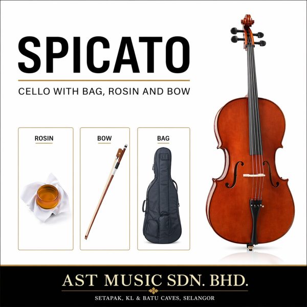 Spicato Italy Cello CV101 Three Quarter Size Cello Intermediate Cello With Bag Bow Rosin