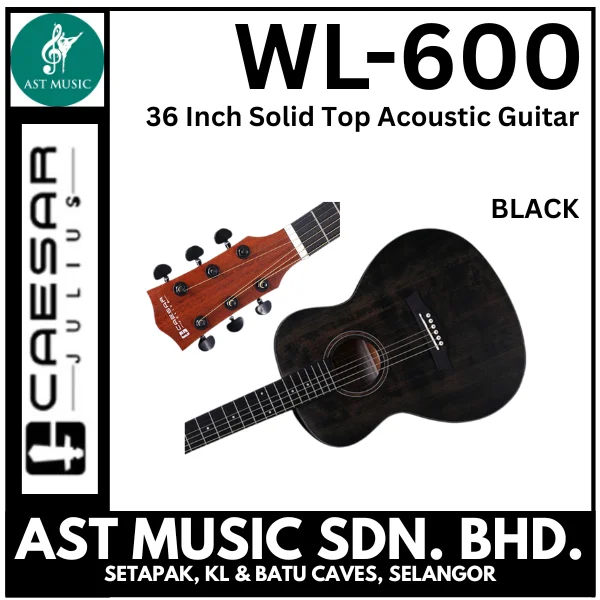 Caesar WL-600 Acoustic Guitar only / WL600 / WL 600 -  Black