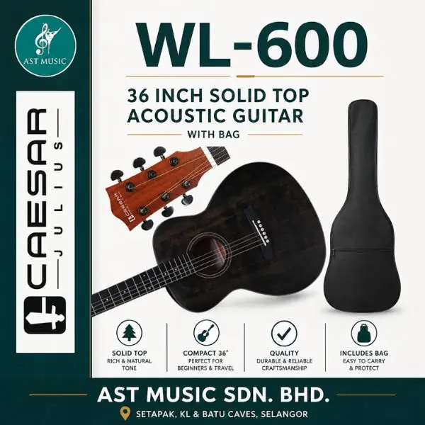 Caesar WL-600 Acoustic Guitar with bag / WL600 / WL 600 -  Black