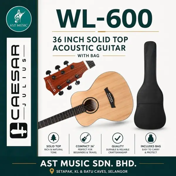 Caesar WL-600 Acoustic Guitar with bag / WL600 / WL 600 -  Natural